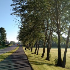 Monterey Walking Trail